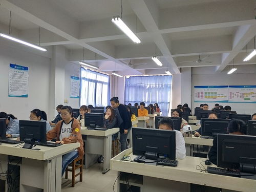 职业学院的电子商务专业
